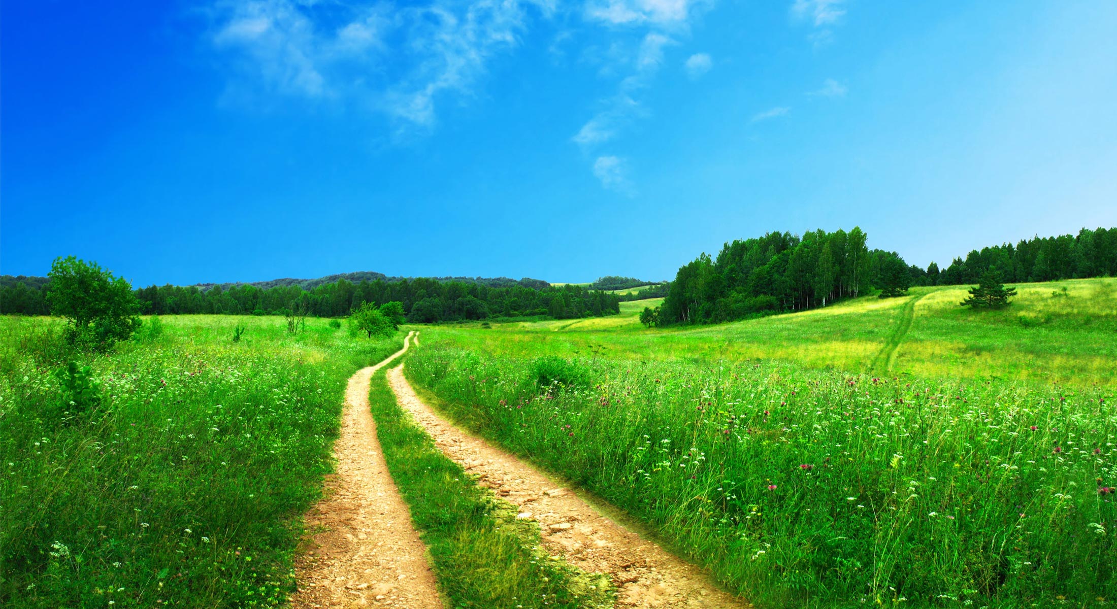 img-activites-2